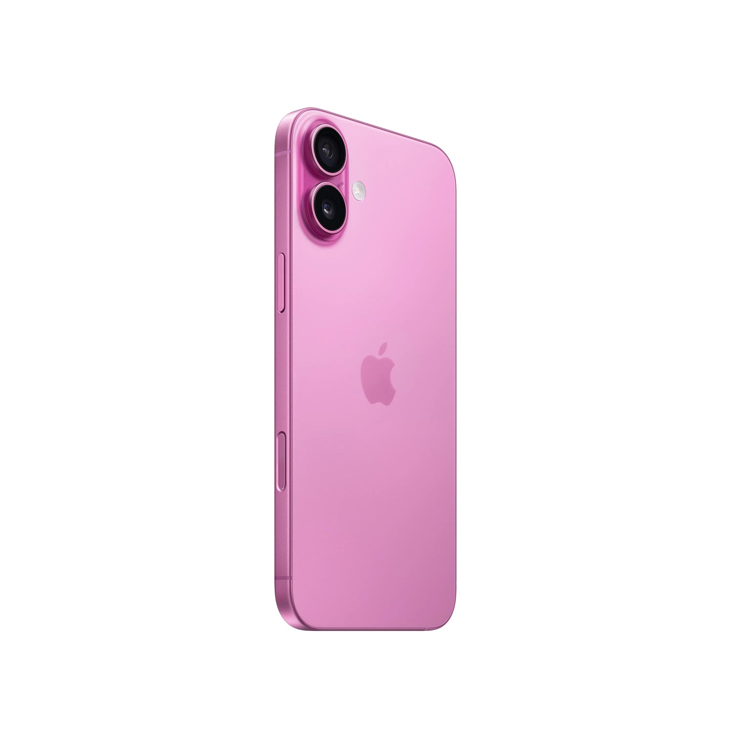 16 plus back