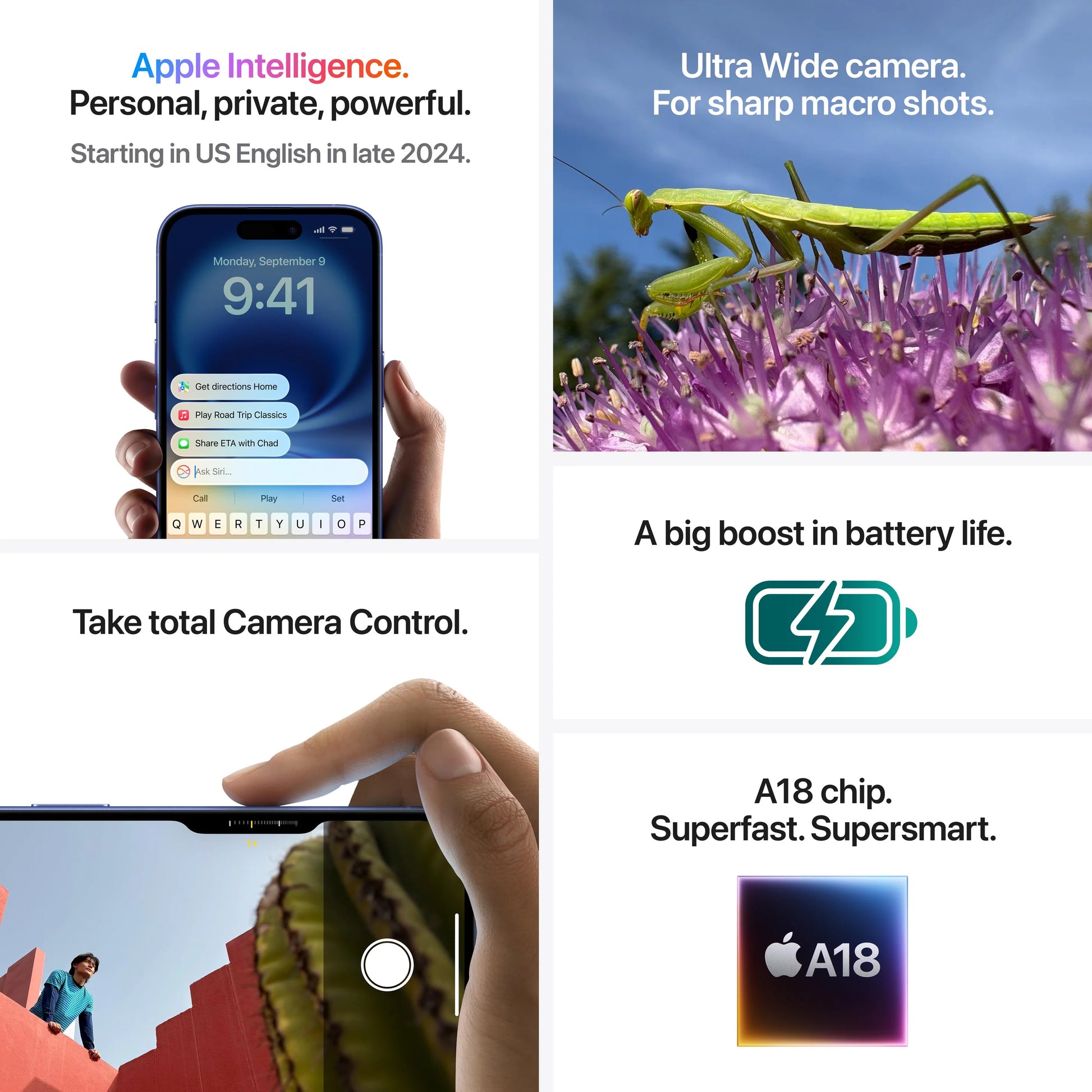 16 plus info 1